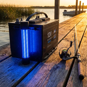 Underwater Fishing Light - 12V LED Submersible - Size & Scale